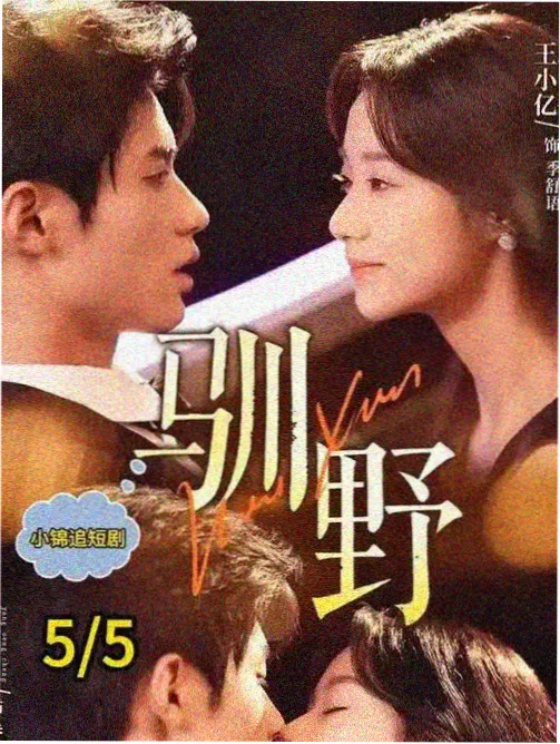 天堂网在线观看视频 最新电视剧